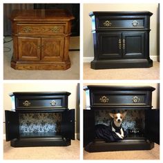 four different pictures of a dog in a chest