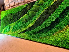 a green wall with plants growing on it