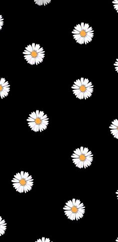 a black background with white and yellow daisies in the center, all on one side