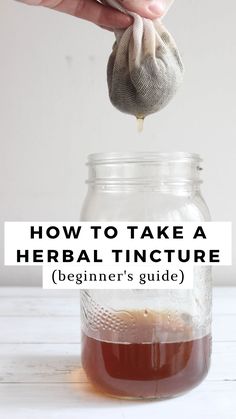 Homemade tincture being strained off into a glass jar. Plantain Tincture Benefits, Clove Tincture Benefits, Parasite Tincture Recipe, Turkey Tail Tincture Recipe, Cannibus Tincture How To Make, How To Make A Tincture, Propolis Tincture Recipe, Thc Tincture Recipes