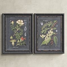 two framed pictures with flowers and leaves on them