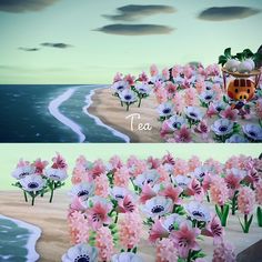 two pictures with flowers in the sand and water