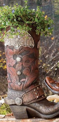 a pair of cowboy boots sitting on top of a wooden table next to a potted plant