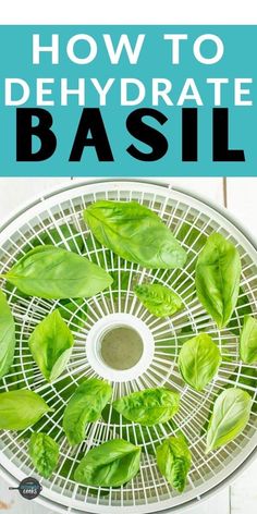 how to dehydraate basil on a wire rack with text overlay reading how to dehydraate basil