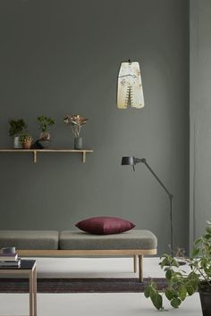 a living room with green walls and plants on the shelf above it, along with a couch