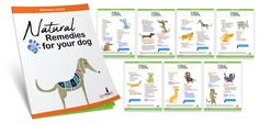 a pack of natural remedies for your dog with pictures of dogs on them