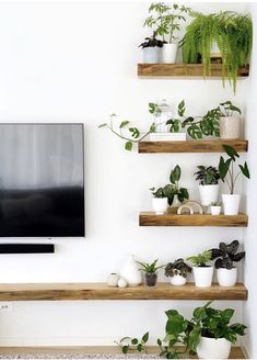 a flat screen tv sitting on top of a wooden shelf next to potted plants