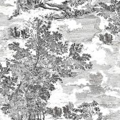 black and white drawing of trees on a cloudy day with clouds in the sky above