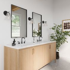 a bathroom with two sinks and three mirrors on the wall next to a potted plant