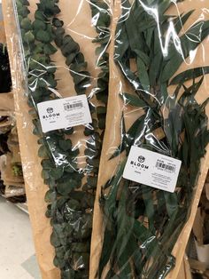 two bags filled with plants sitting on top of a shelf next to eachother