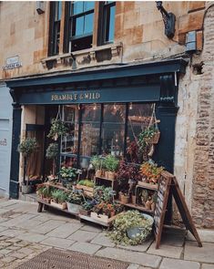 a store front with plants and flowers on display