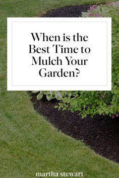 a garden with the words when is the best time to mulch your garden?