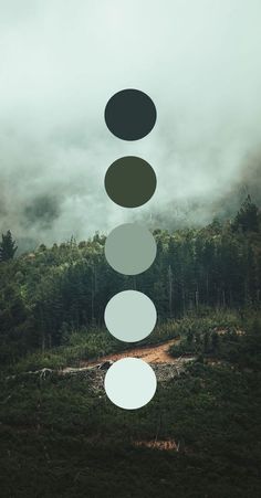 an abstract photo with three circles in the sky above a field and trees on a cloudy day