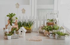 several potted plants and birdhouses are arranged on the floor in front of a white picket fence