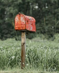 an old red mailbox sitting in the middle of a field next to some tall grass