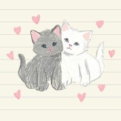 two cats sitting next to each other with hearts on lined paper in the back ground