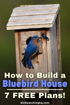 a bird house with the words how to build a bluebird house 7 free plans