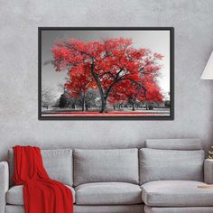 a red tree in the middle of a living room with grey couch and white walls