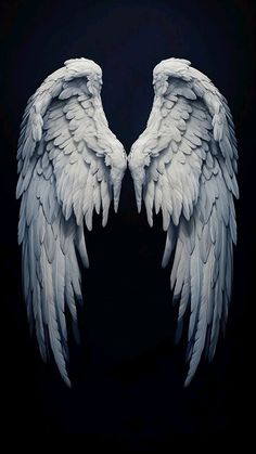 two white angel wings on a black background