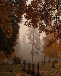 foggy graveyard with trees and tombstones in the foreground on a fall day