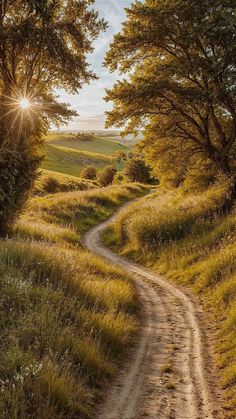 a dirt road in the middle of a grassy field with trees on both sides and sun shining through the trees