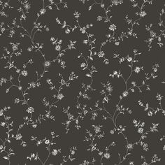 Floral Trail Black Wallpaper from the Miniatures 2 Collection by Galerie Wallcoverings Pretty Meadow, English Country Garden, English Country Gardens, W Wallpaper, Meadow Flowers, Country Garden, Light And Space, Burke Decor, Country Gardening