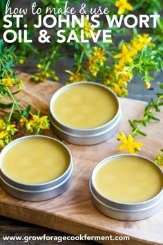 Learn all about foraging St. John's wort, how to harvest and use this medicinal plant, and how to make a pain-relieving infused oil and salve using fresh St. John's wort flowers. Bumblebee Apothecary, Dandelion Salve, Natural Paint, Herbs Garden, Healing Remedies