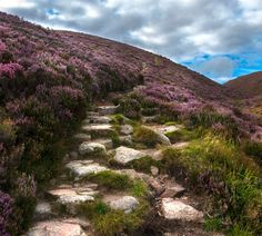 11 Best Places To Visit in the Scottish Highlands (2024) Scottish Highlands Aesthetic, Highlands Aesthetic, Glenfinnan Viaduct, Most Beautiful Places To Visit, Places In Scotland, Cairngorms National Park, Castles In Scotland, Scotland Highlands, Travel Photography Tips