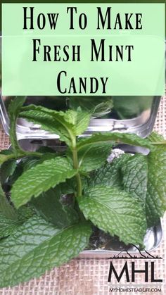 mint leaves in a glass container with text overlay how to make fresh mint candy