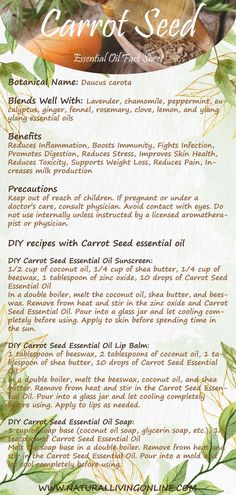 Carrot seed oil has a wide range of potential health benefits, including reducing inflammation, boosting immunity and fighting infection. It can be used topically or inhaled, and is generally considered safe for most people. However, there are a few side effects to be aware of, and it should not be used by pregnant women or young children. #carrotseed #essentialoil #aromatherapy Benefits Of Carrot Seed Oil, Carrot Seed Oil Benefits Skin, Carrot Oil For Skin Benefits, Carrot Oil Benefits, Carrot Seed Oil Benefits, Ylang Ylang Essential Oil Benefits, Live Naturally, Carrot Seed Essential Oil, Carrot Benefits