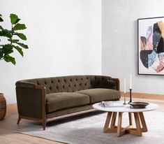 a living room with a couch, coffee table and potted plant in the corner