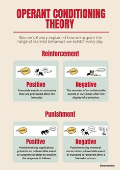 an info sheet describing the different types of animals and how they interact with each other