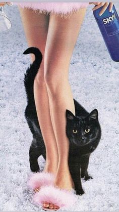 a black cat standing next to a woman's legs with pink fur on it