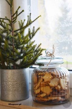 a glass jar filled with cookies next to a pine tree in front of a window