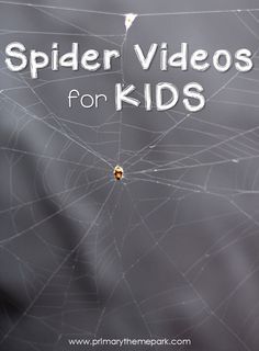 a spider web with the words spider videos for kids