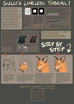 an info sheet with instructions on how to draw a fox