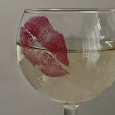 a wine glass filled with white wine and red fish