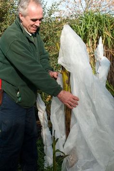 an older man is holding something in his hand while standing next to a corn cob