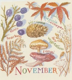 a cross stitch pattern with words written in different languages and pictures of mushrooms, berries, pine cones, leaves, and more