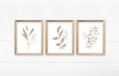 three framed art pieces on a white wall, each with an image of two different plants