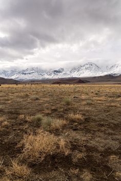 an open field with snow capped mountains in the distance and brown grass on the ground