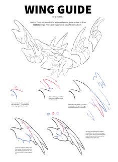 the instructions for how to draw a bird with different colors and shapes, including wings