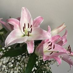 pink lilies and white baby's breath in a vase