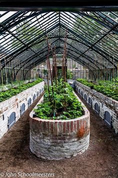 an indoor greenhouse with rows of plants growing in the ground and brick walls on each side