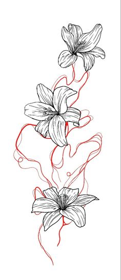 a drawing of three flowers with red and black lines on the bottom half of it