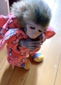 a small hedgehog is holding onto a stuffed animal in a pink jacket on the floor