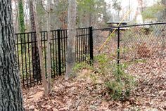 a fenced in area with trees and leaves on the ground