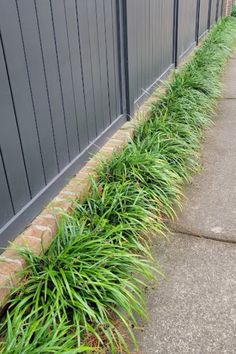 the grass is growing along the side of the building near the sidewalk and fenced in area