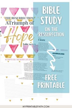 the bible study guide for kids with free printables and instructions on how to use it