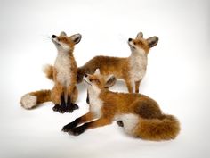 three stuffed foxes sitting next to each other in front of a white background and one is looking at the camera